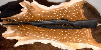 Winchester Model 700 .308 Win Bolt Action Rifle