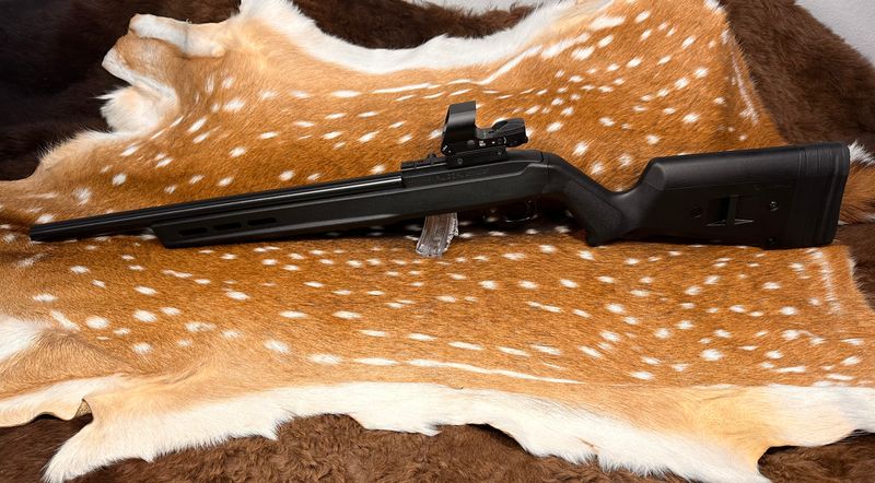 Custom Ruger 10/22 .22 LR Rifle – Magpul Hunter X-22 Stock