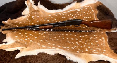 Winchester Model 12 20-Gauge Pump-Action Shotgun