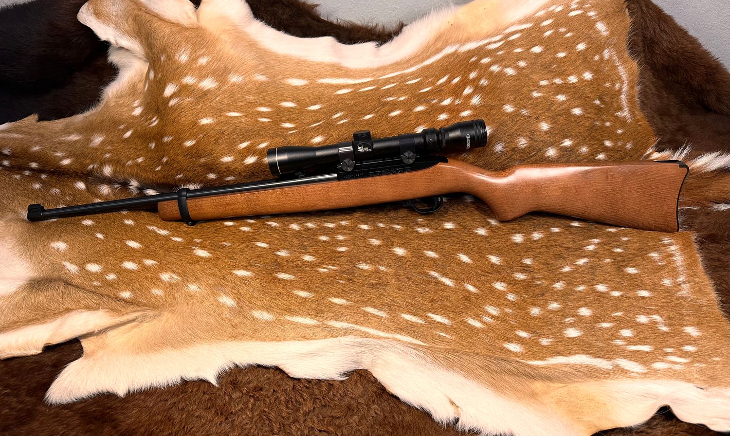 Ruger 10/22 Carbine .22 LR Rifle with Scope