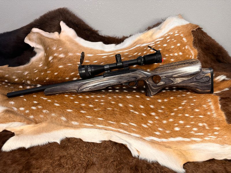 Ruger 10/22 .22 LR Rifle with Heavy Barrel and Scope