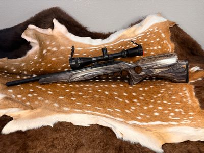 Ruger 10/22 .22 LR Rifle with Heavy Barrel and Scope Ruger 10/22 .22 LR Rifle with Heavy Barrel and Scope