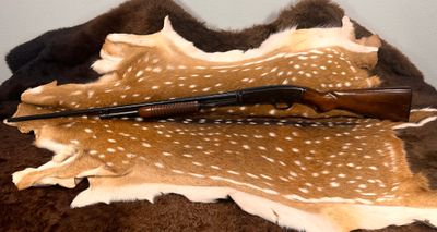 Pre-64 Winchester Model 42 – .410 Pump-Action Pre-64 Winchester Model 42 – .410 Pump-Action