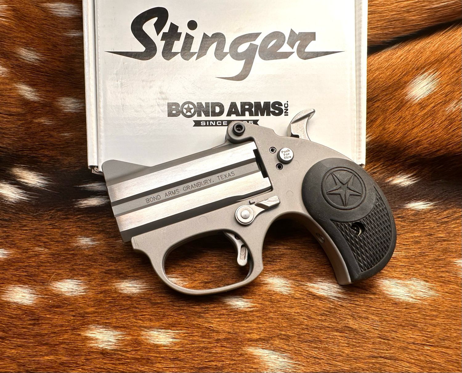 Bond Arms Stinger — Rough Series — .380 ACP