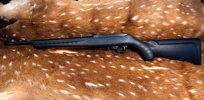 Ruger 10/22 Compact – .22 LR