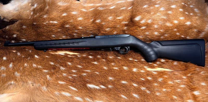 Ruger 10/22 Compact – .22 LR