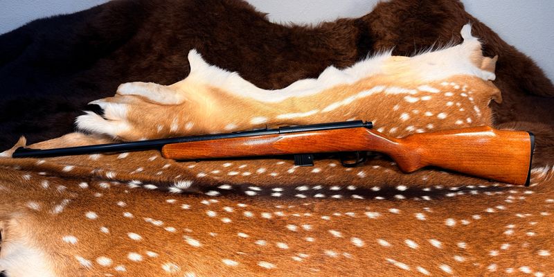 Marlin 25MN .22 WMR Bolt-Action Rifle — JM Stamped