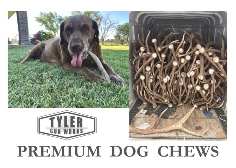 Premium Elk Antler Dog Chews (3 Sizes Available - Starting at $10.99)