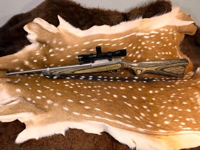 Ruger 10/22 Carbine Rifle .22 LR with Scope Ruger 10/22 Carbine Rifle .22 LR with Scope