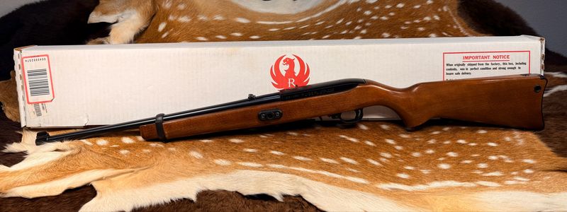 Ruger 10/22RB Semi-Auto Rifle .22 LR with Box