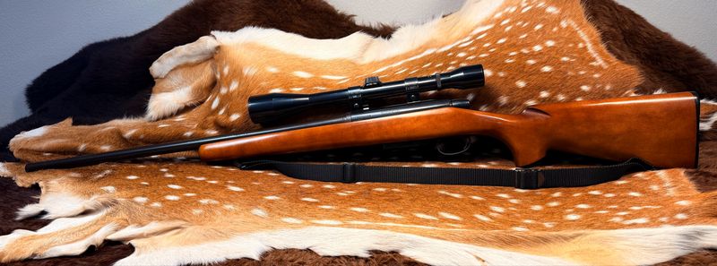 Remington Model 788 .223 Remington Bolt-Action Rifle Remington Model 788 .223 Remington Bolt-Action Rifle