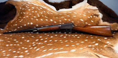 Winchester Model 1903 Semi-Auto Rifle 22 Cal Automatic