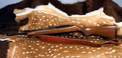 Ruger 10/22® Carbine .22 LR Rifle – 18 Ruger 10/22® Carbine .22 LR Rifle – 18" Barrel