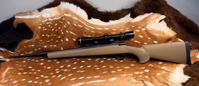Howa 1500 Ranchland Security .22-250 Rem Bolt-Action Rifle Howa 1500 Ranchland Security .22-250 Rem Bolt-Action Rifle
