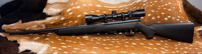 Savage Arms 93R17 .17 HMR Bolt-Action Rifle 21 Savage Arms 93R17 .17 HMR Bolt-Action Rifle 21" Barrel with Weaver Scope