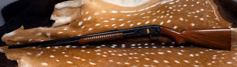 ​Winchester Model 61 .22 LR Pump Rifle – Engraved with Gold German Shepherd Inlay