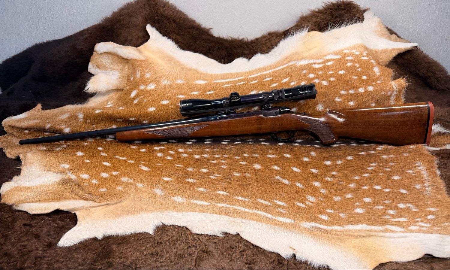 Ruger M77 Bolt-Action Rifle .22-250 with Scope Ruger M77 Bolt-Action Rifle .22-250 with Scope