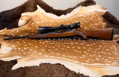 Ruger 77/22 .22 Hornet Bolt-Action Rifle with Nikon Scope Ruger 77/22 .22 Hornet Bolt-Action Rifle with Nikon Scope