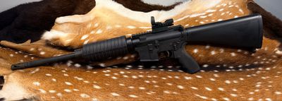 Palmetto State Armory PA-15 7.62x39 Rifle Palmetto State Armory PA-15 7.62x39 Rifle