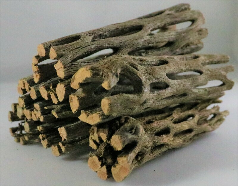 Cholla Wood - 3 Inch