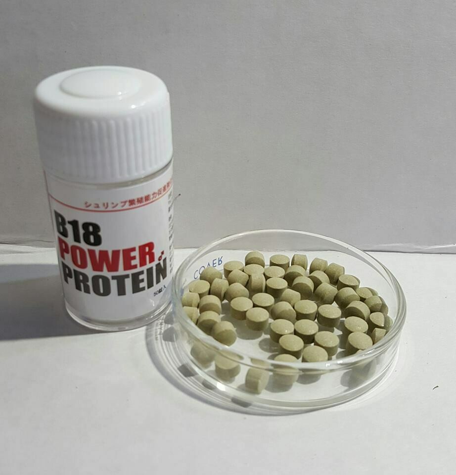 Lowkeys B18 Power Protein - 50 tablets