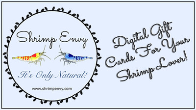 Shrimp Envy Digital Gift Card