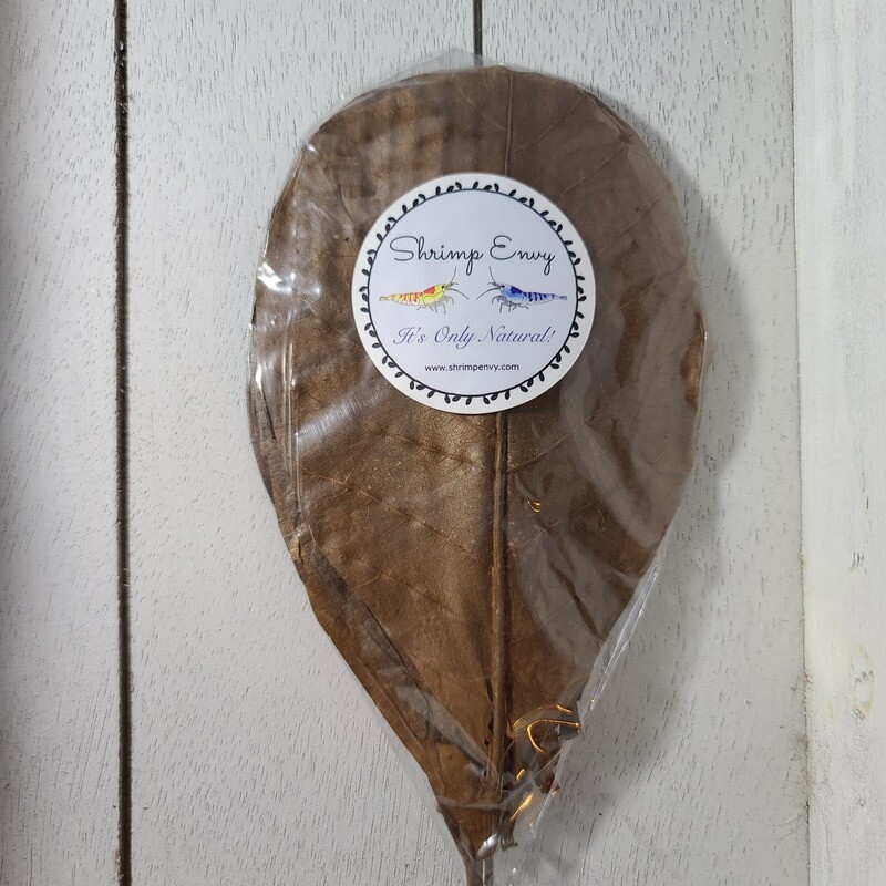 Indian Almond Leaves - 10 pack