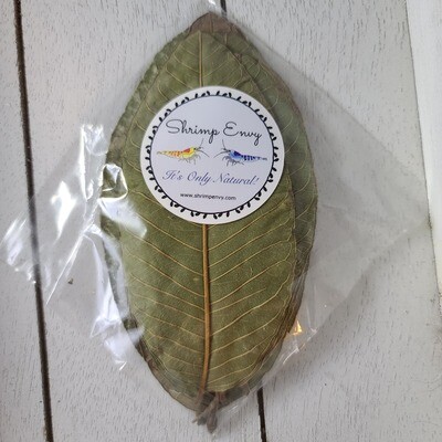 Guava leaves - 10 pack
