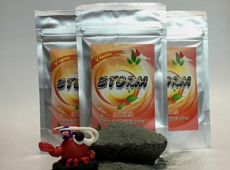 Storm Ecological Bacteria Group - 35g