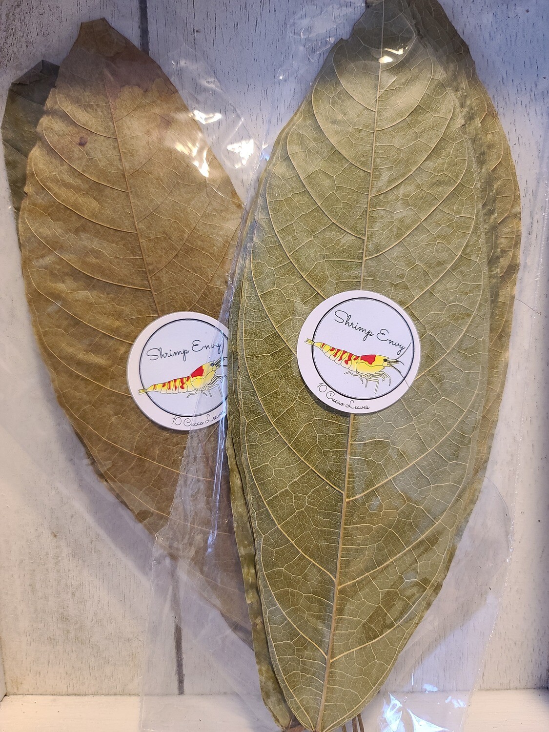 Cacao Leaves - 10