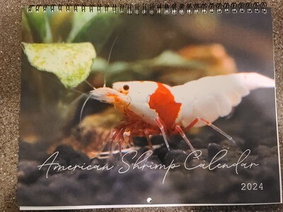 American Shrimp Calendar - 2024