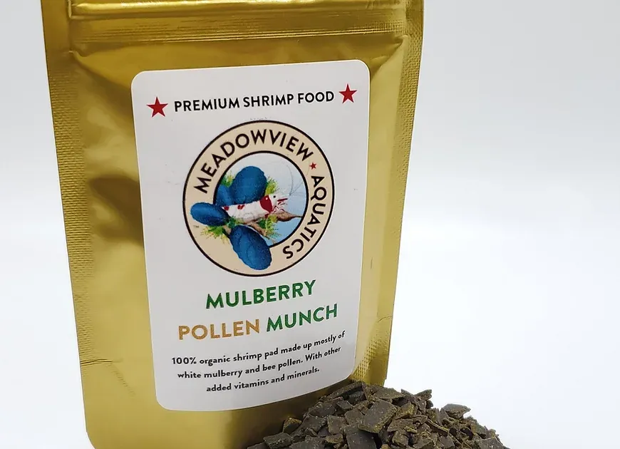 Mulberry Pollen Munch - Meadowview Aquatics