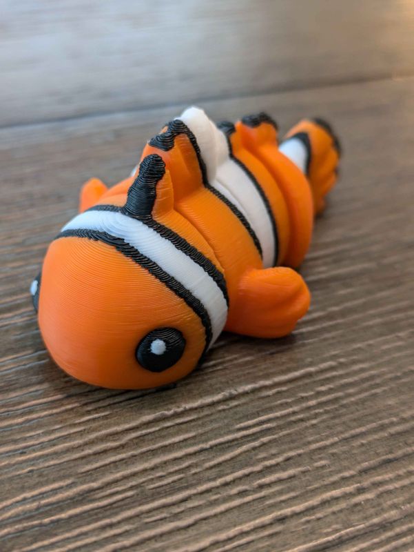 Baby Clownfish - Joe Bloomfield
