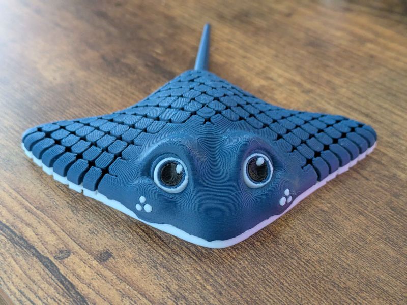 Manta Ray - Joe Bloomfield