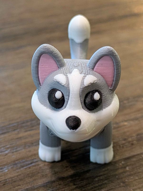 Sled Dog - Joe Bloomfield