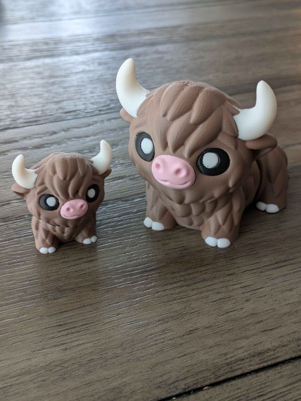 Highland Cow - Joe Bloomfield