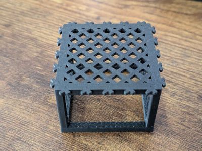 Square Shrimp Cube with Moss Ledge - Joe Bloomfield