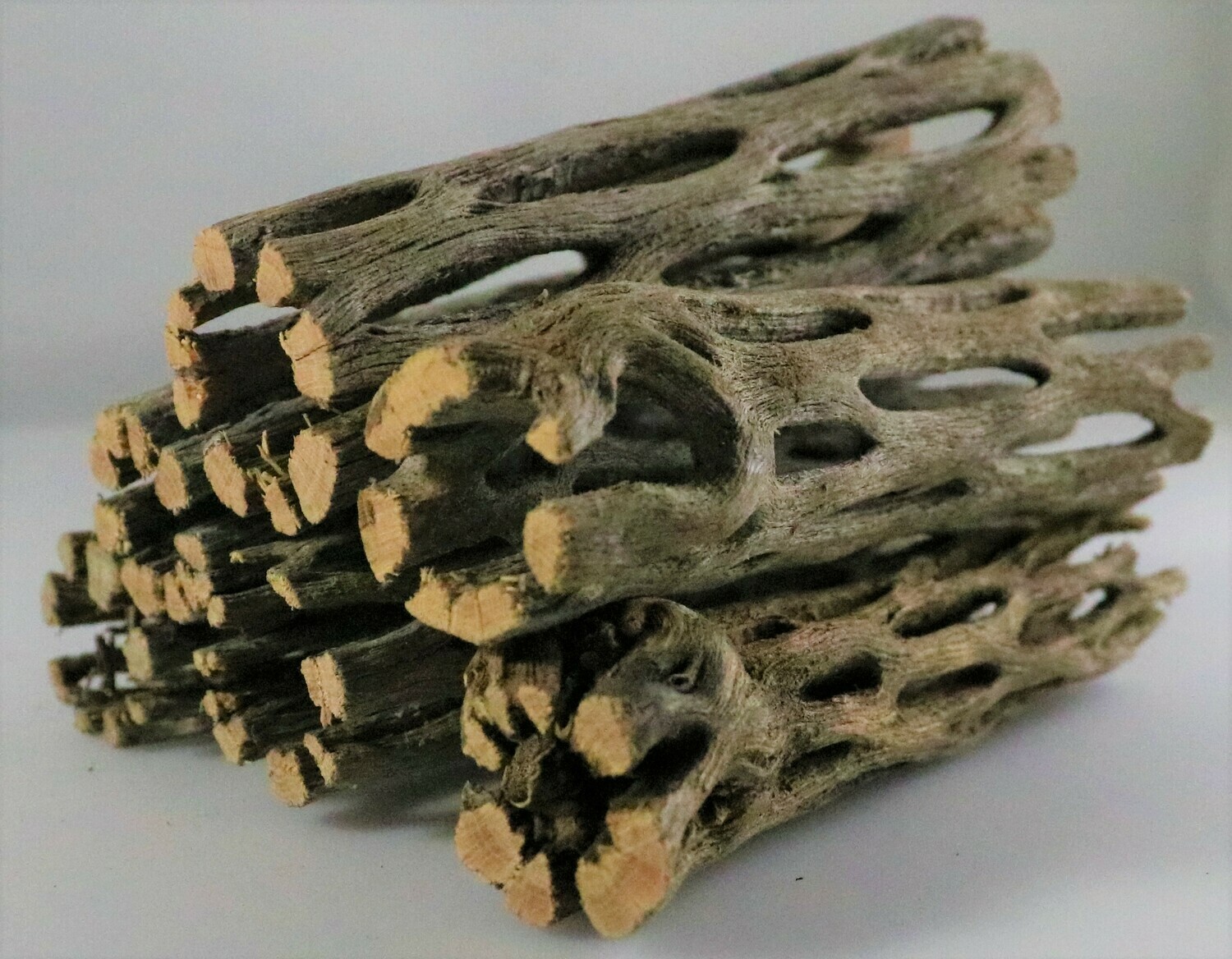 Cholla Wood - 3 Inch