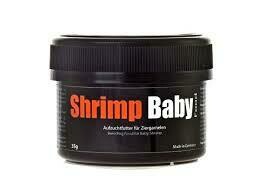 GlasGarten Shrimp Baby