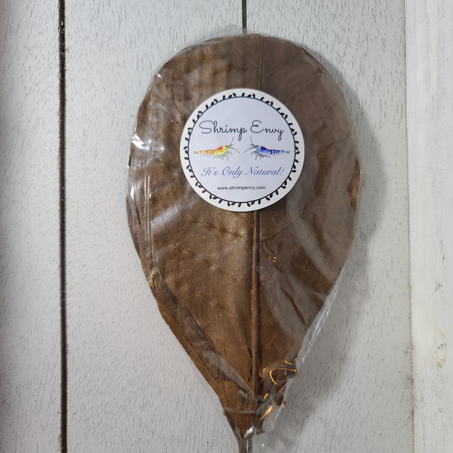 Indian Almond Leaves - 10 pack