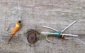 The Perch Fly Rig