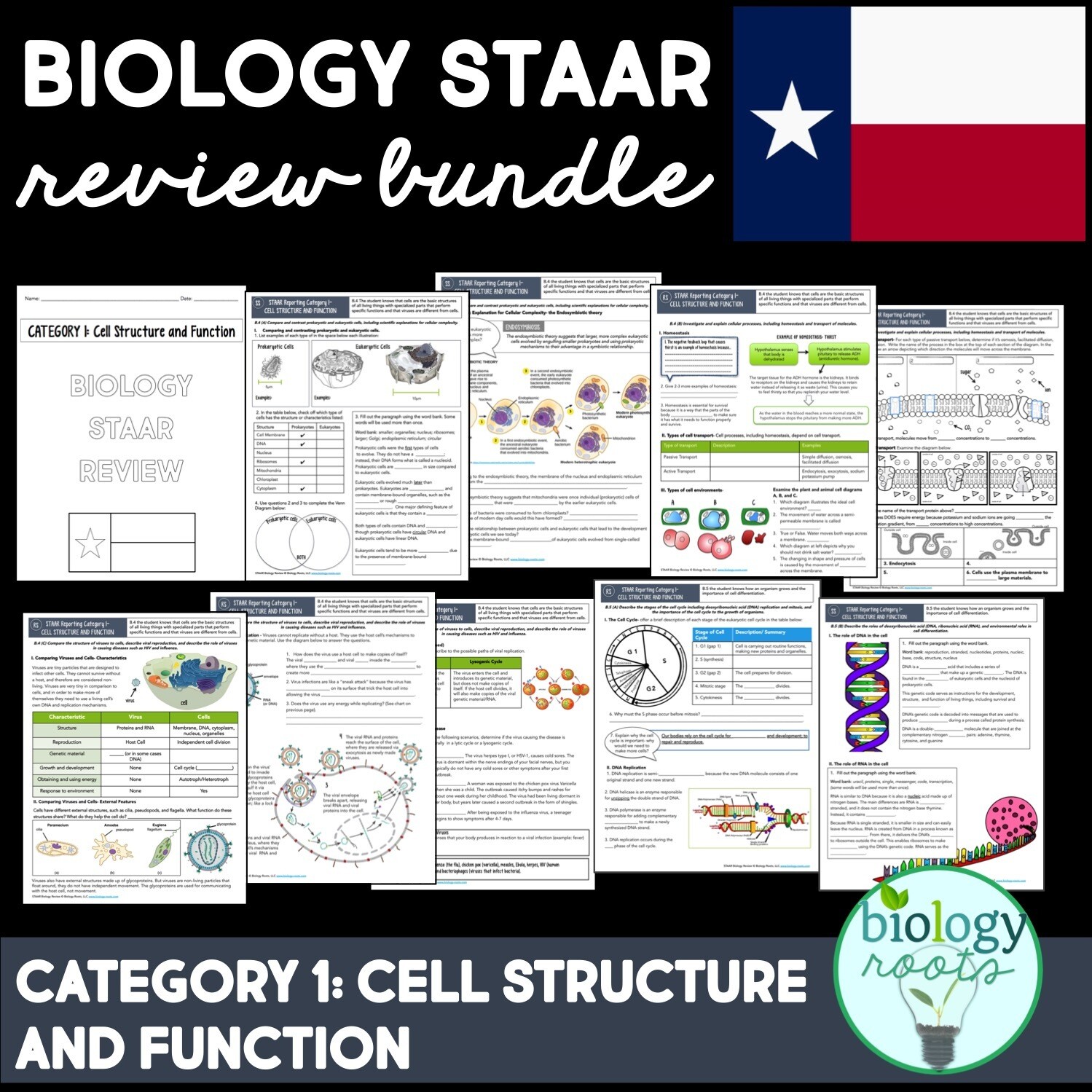 STAAR Biology Review Reporting Category 1
