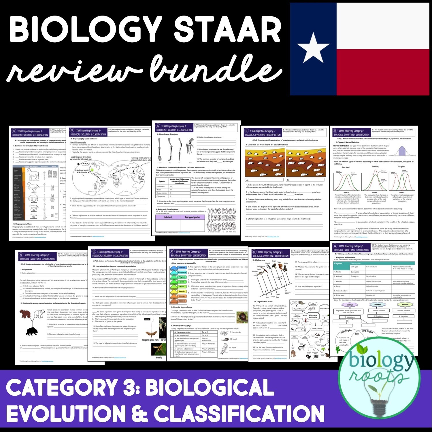 Staar Biology Review Reporting Category 3 Store Biology Roots