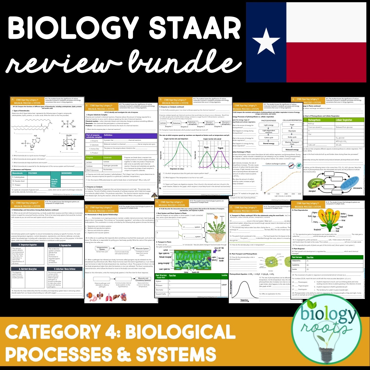 This review tool for the STAAR EOC Biology exam. 