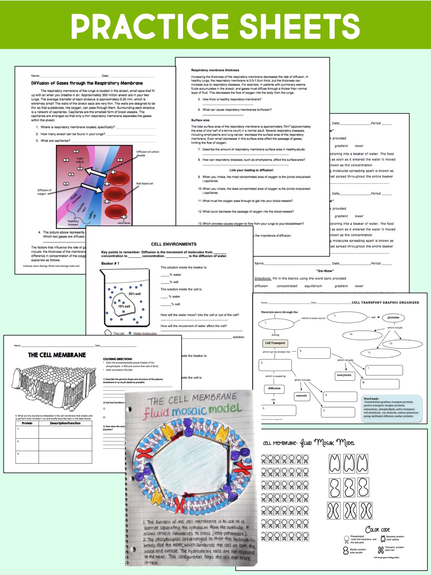 Cell Transport Unit Plan Supports Digital Store Biology Roots