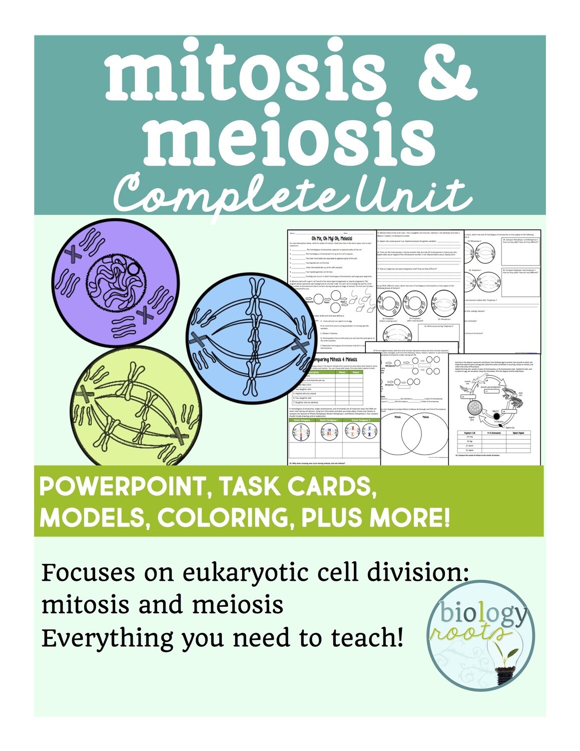 Cell Division Bundle