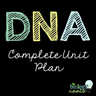 DNA Unit Bundle