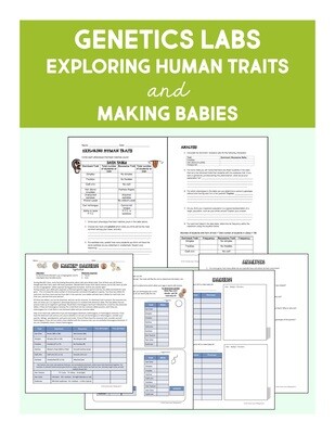 Genetics Unit Bundle - Store - Biology Roots