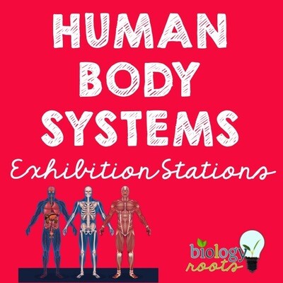 Body Systems Exhibition Stations Bundle - 11 Body Systems