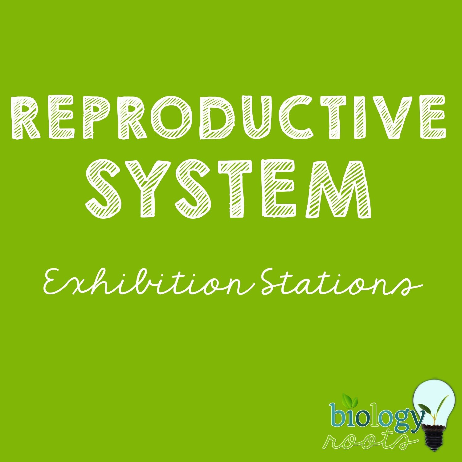 Reproductive System Exhibition Stations